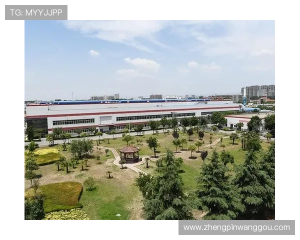 凯发集团下载官网网址官方平台,提供多种设备的下载安装支持指南